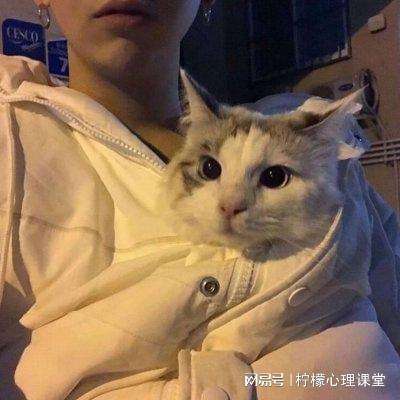 风暴之眼变态版下载